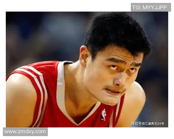 姚明职业生涯赛季奖金总额揭秘及其背后的故事分析